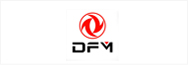 DFM